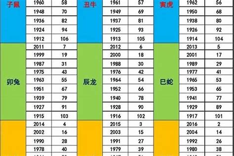 2024是火年吗|2024年是木命还是火命 2024年金木水火土五行查询